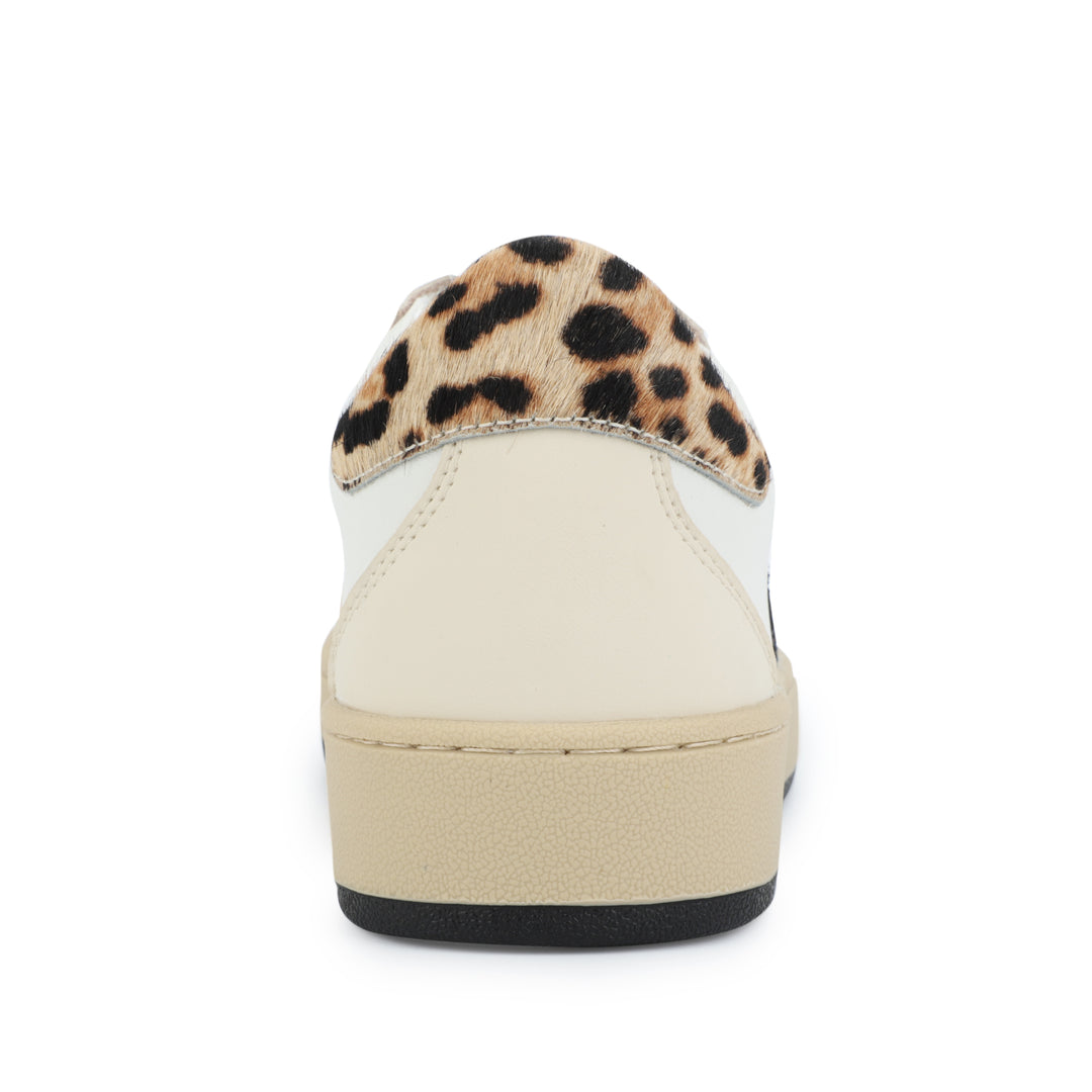 HAZEL 2 - CHEETAH MULTI