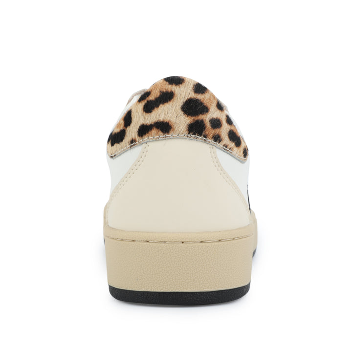 HAZEL 2 - CHEETAH MULTI