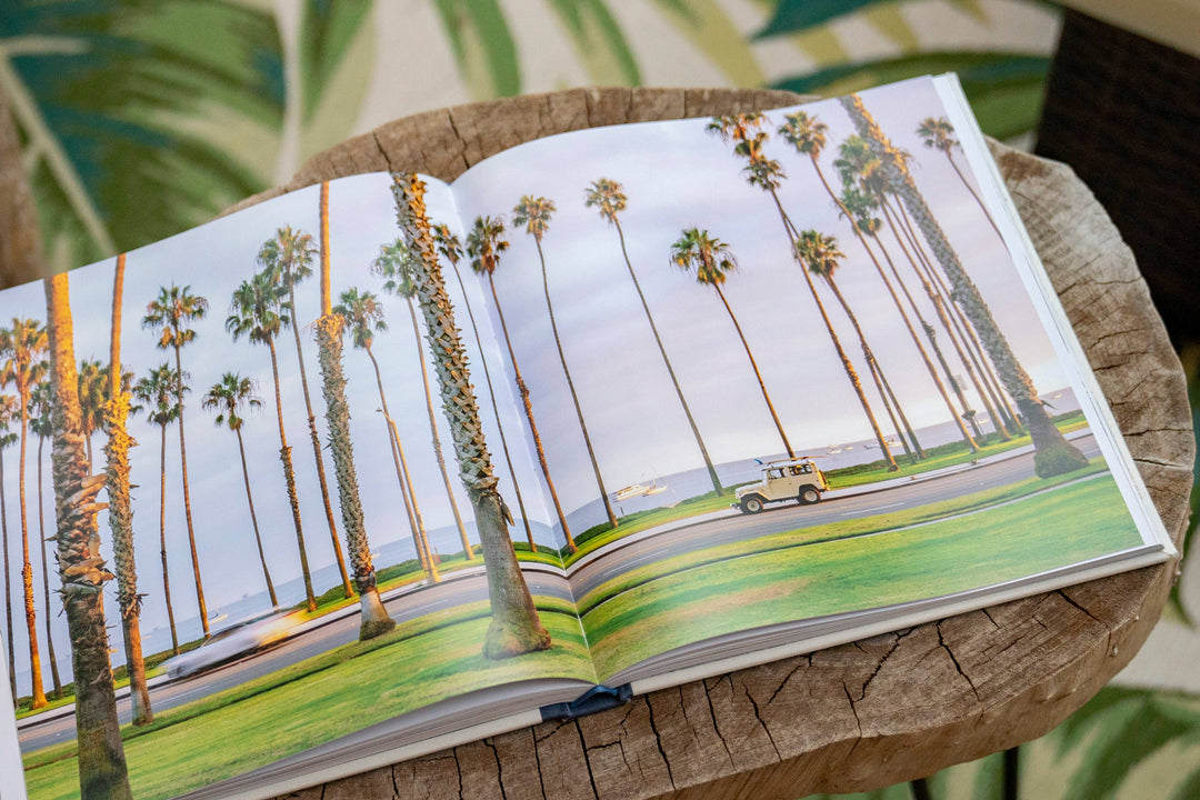 Surf Rides Book
